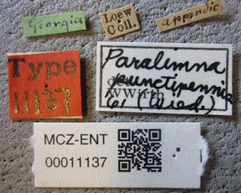 Media type: image;   Entomology 11137 Aspect: labels